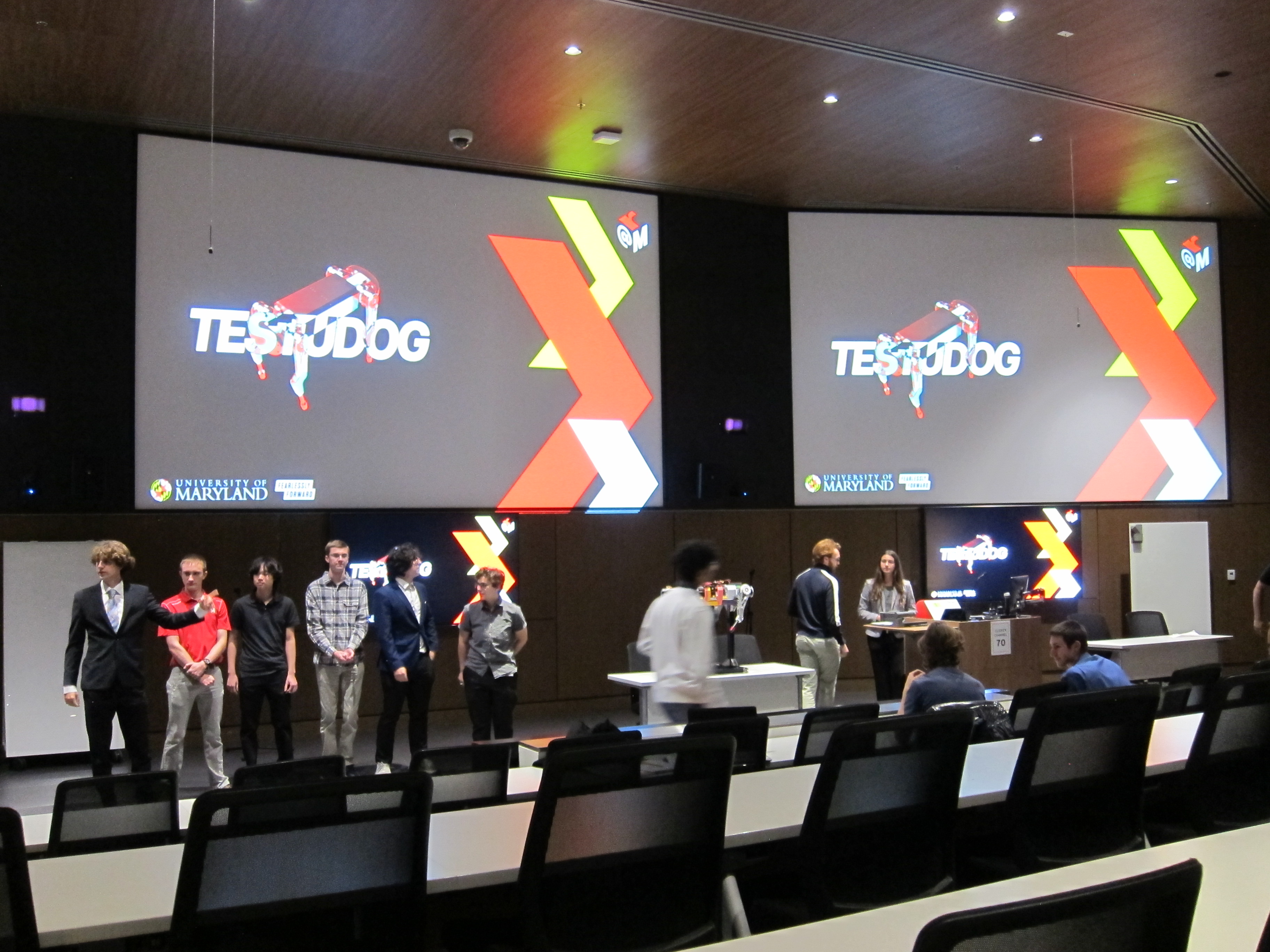 Testudog gallery photo 6